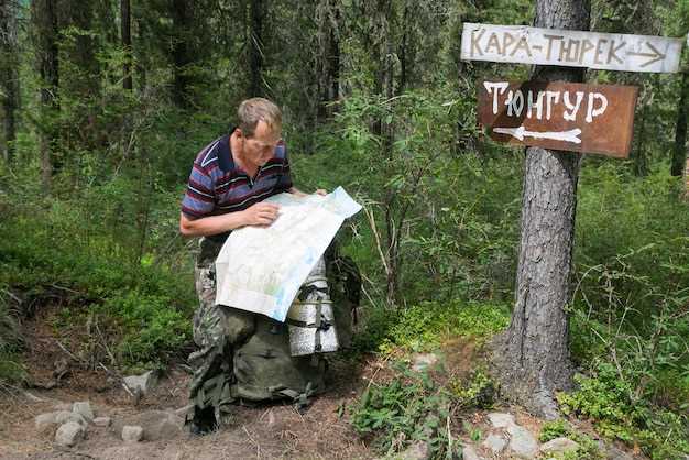 Профессиональная помощь